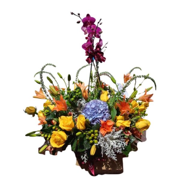 Orquídeas con flores