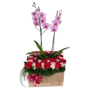 Orquídea con bóveda